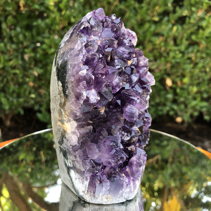 922g 12x7x7cm Purple Amethyst Geode from Uruguay
