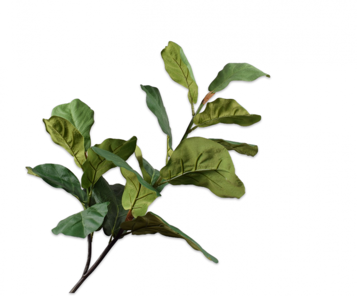 LEAF SPRAY GREEN 114CM