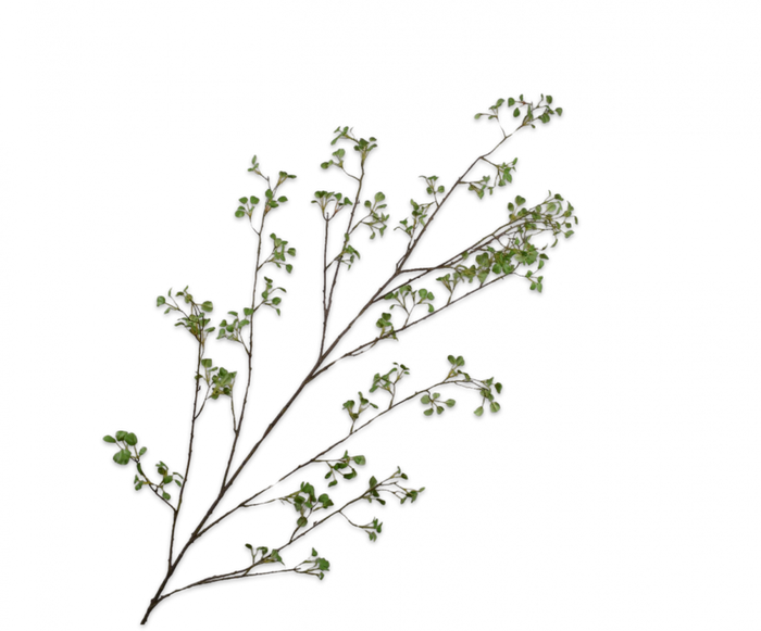 LEAF SPRAY GREEN 171CM