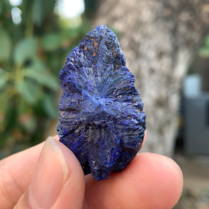 29.9g 4x2.5x2cm Rare Crystalized Azurite from Laos