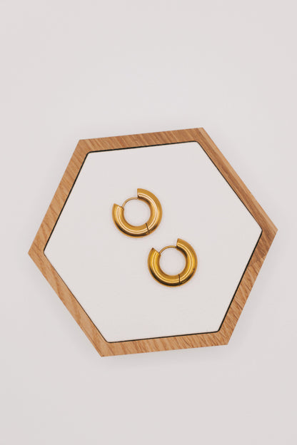 Perfect Places Earrings - 2 Sizes!