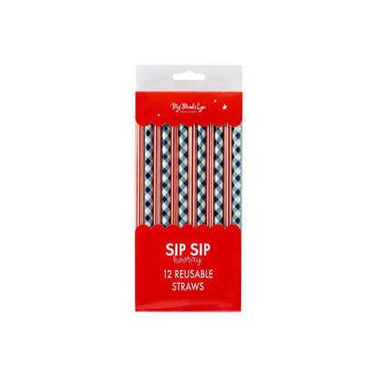 Plaid and Stripes Reusable Straws