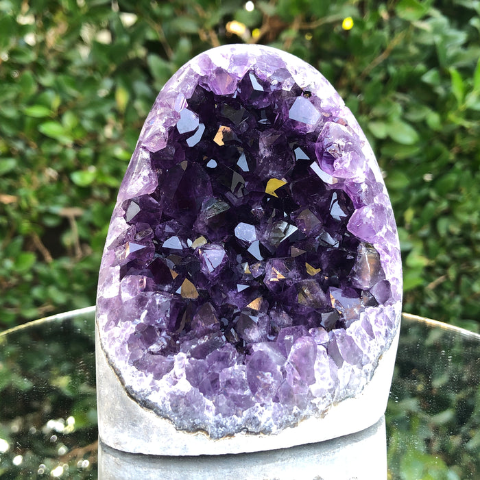 698g 8x6x11cm Purple Amethyst Geode from Uruguay