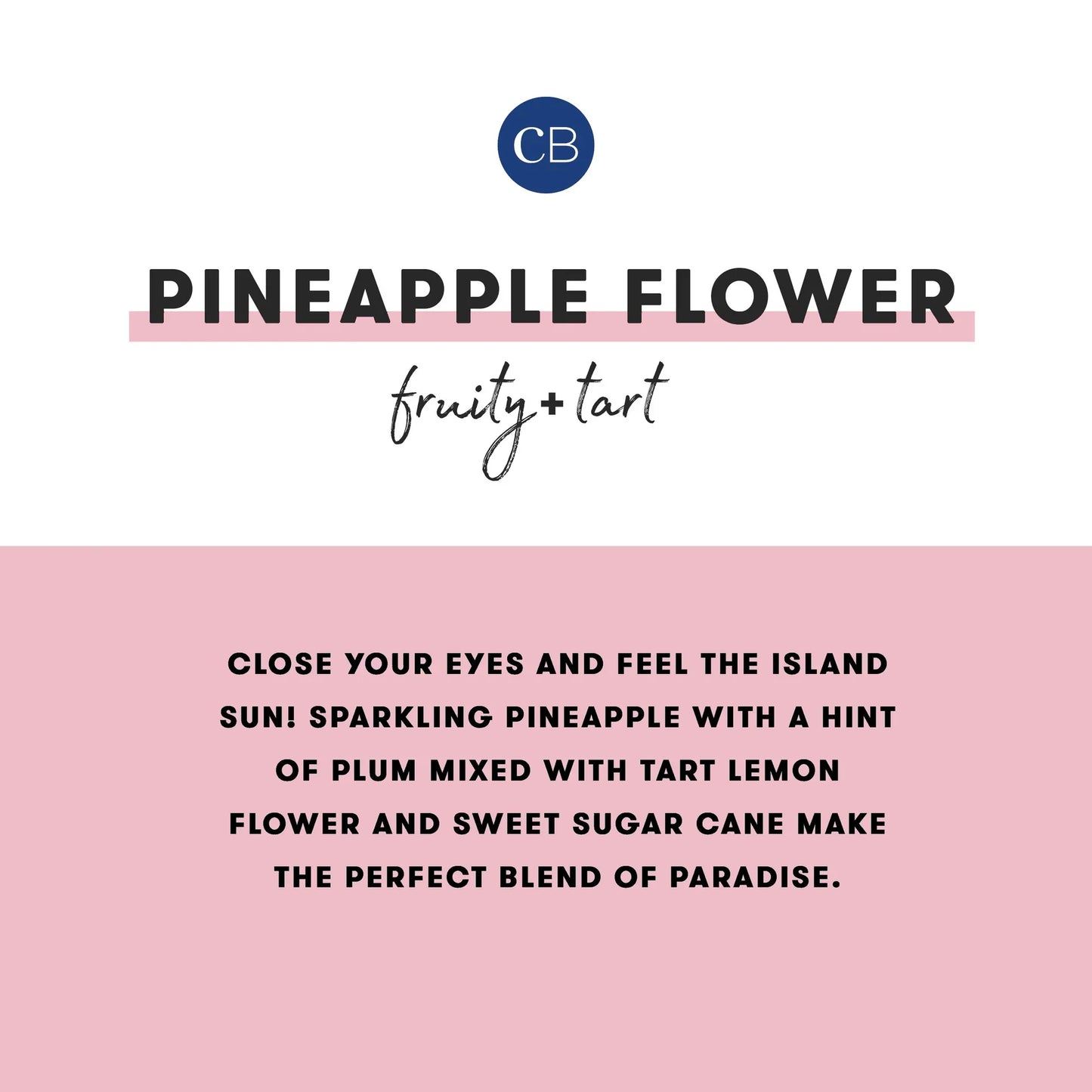 CAPRI BLUE - Pineapple Flower Pattern Play Travel Tin, 8.5 oz
