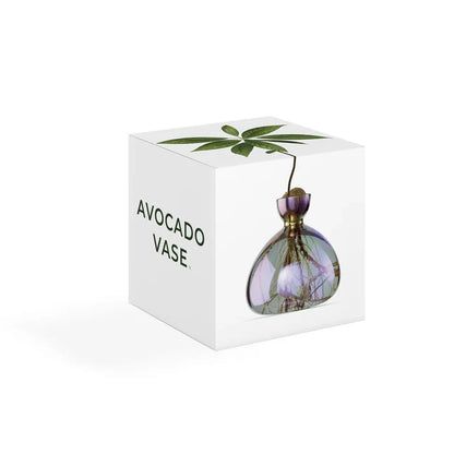 AVOCADO  VASE  COSMIC  VEGA