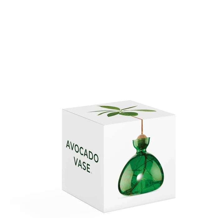 AVOCADO  VASE  EMERALD GREEN