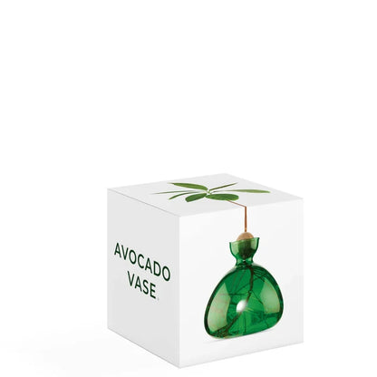 AVOCADO  VASE  EMERALD GREEN