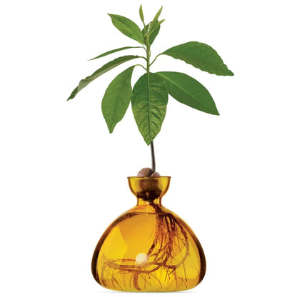 AVOCADO  VASE MELLOW YELLOW