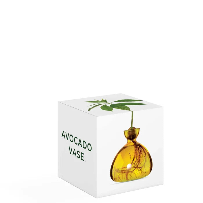 AVOCADO  VASE MELLOW YELLOW