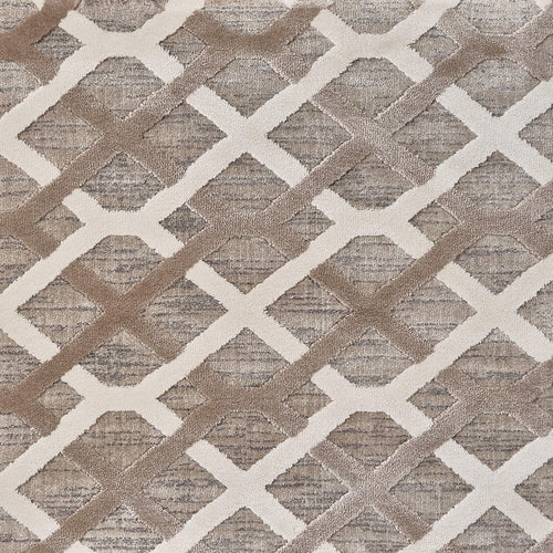 Beige/Brown