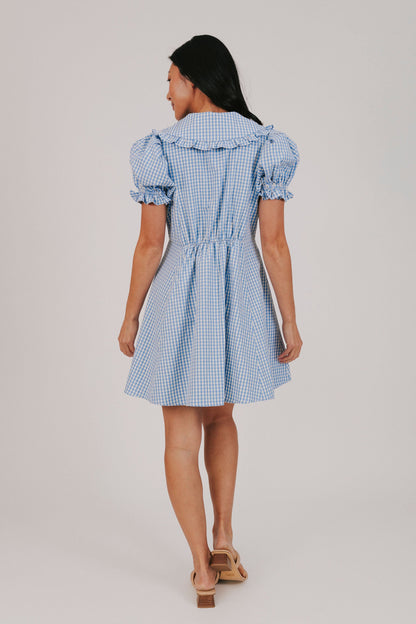 EXCLUSIVE - Country Afternoon Dress - 2 Colors!