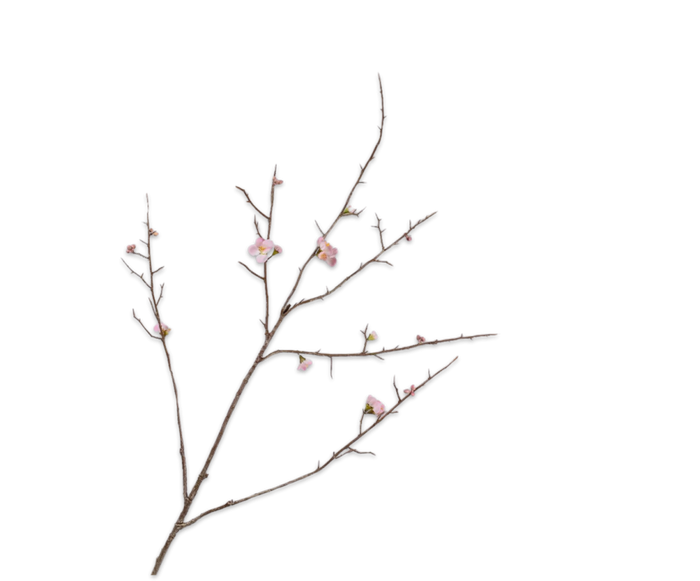 COCOONS PINK BRANCH 121CM (BLOSSOM SPARY PINK)