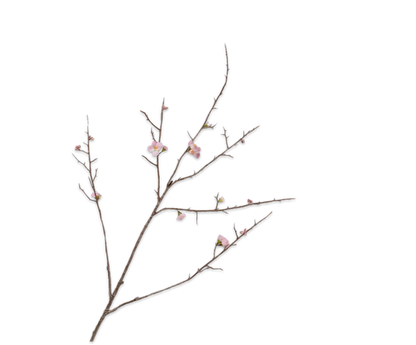 COCOONS PINK BRANCH 121CM (BLOSSOM SPARY PINK)
