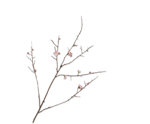 COCOONS PINK BRANCH 121CM (BLOSSOM SPARY PINK)