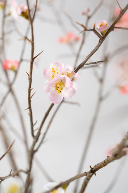 COCOONS PINK BRANCH 121CM (BLOSSOM SPARY PINK)