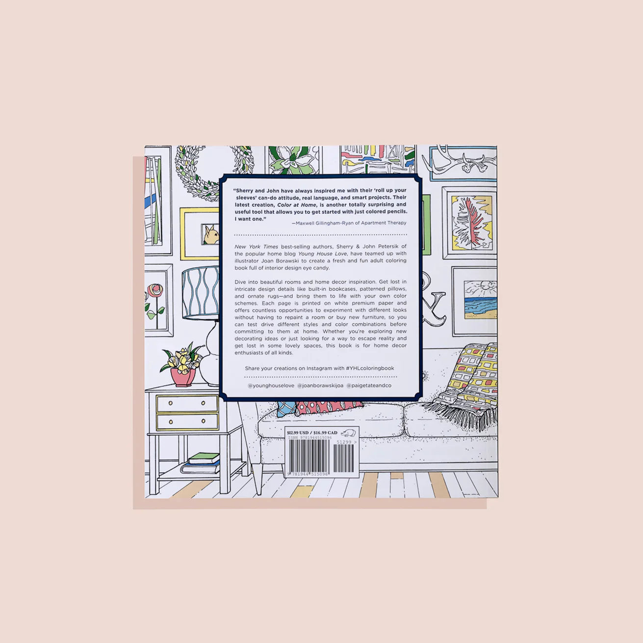 Color At Home Coloring Book