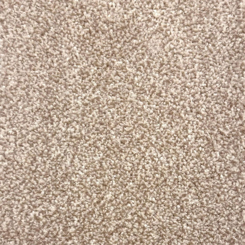 Barley