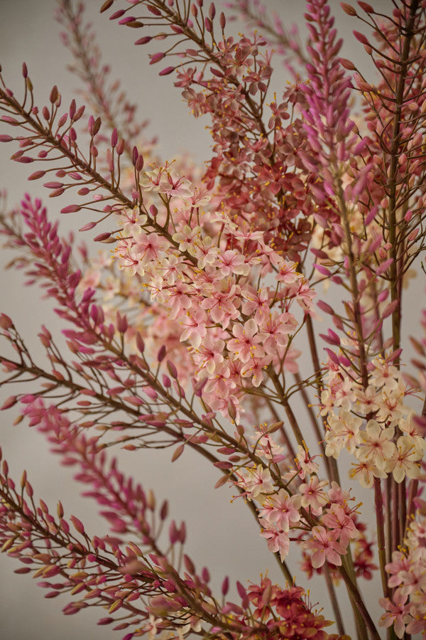 EREMURES PINK STEM 161CM