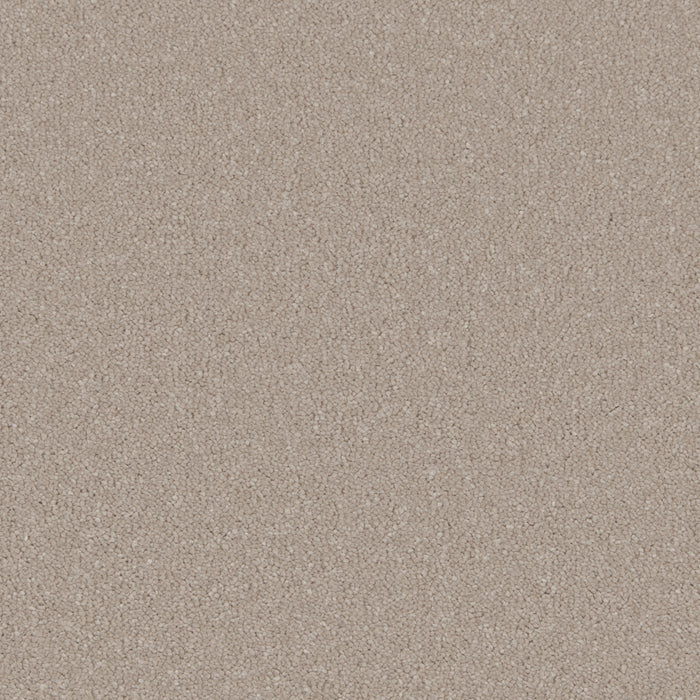 Cashmere / 4m / Action