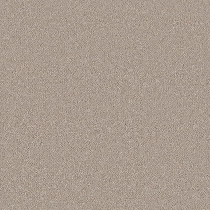 Cashmere / 4m / Action