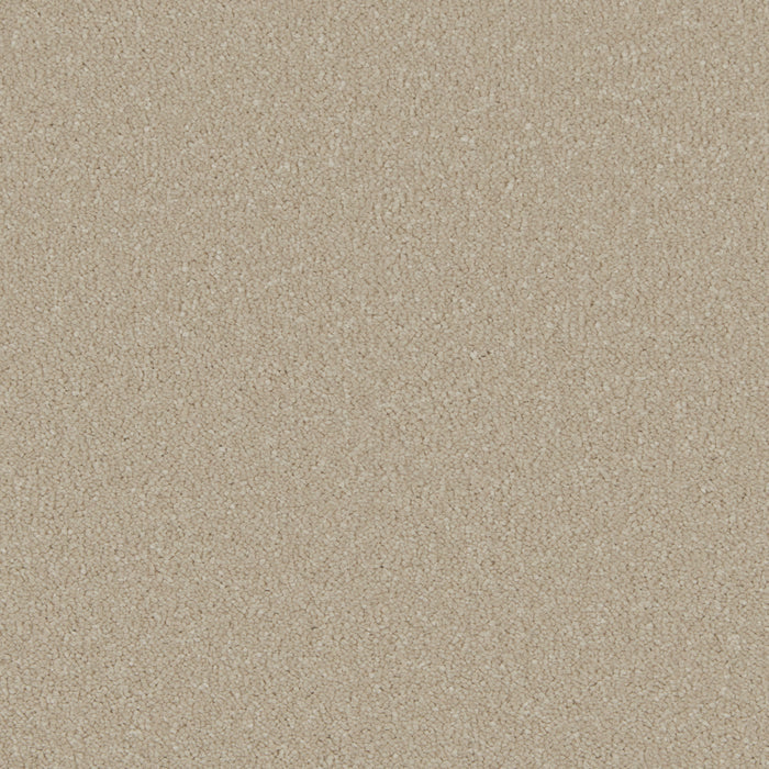 Soft Beige / 4m / Action
