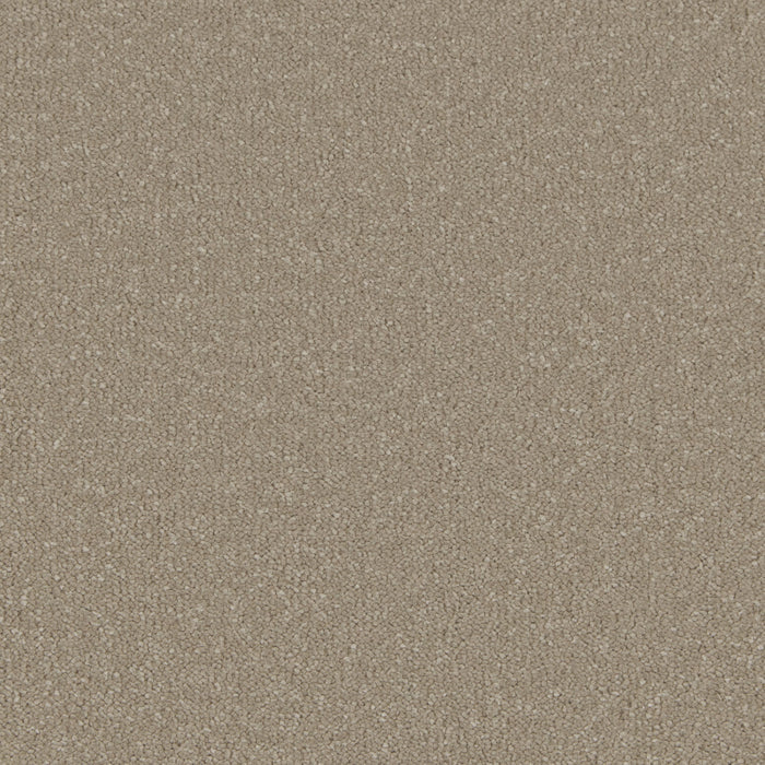 Warm Grey