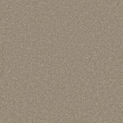 Warm Grey
