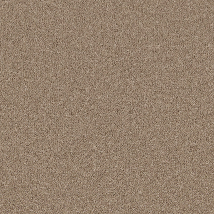 Barley