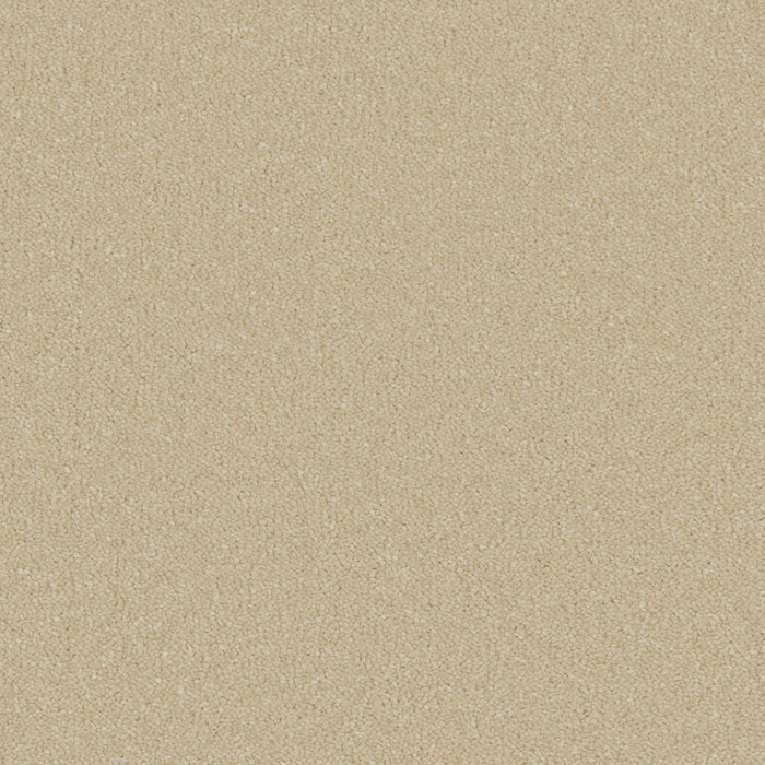 Sand