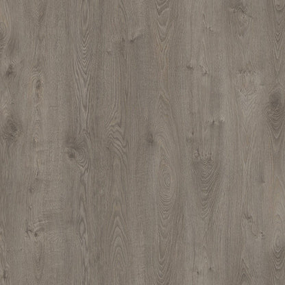 Soft Grey