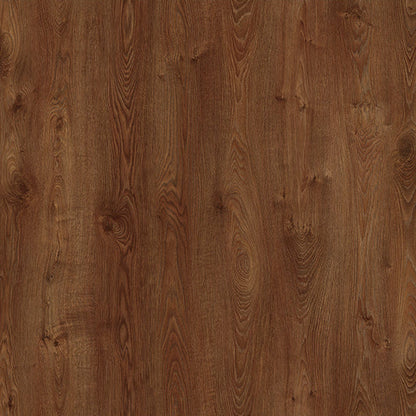 Warm Oak