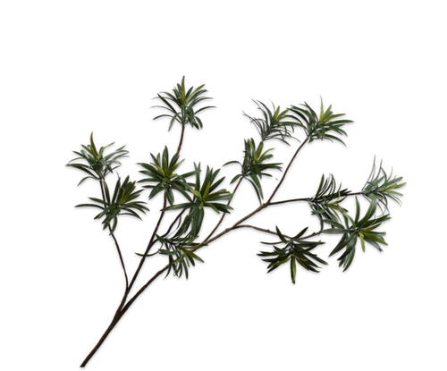LEAF SPRAY PODOCARPUS GREY DK 109CM