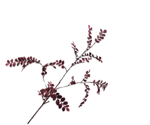 LEAF SPRAY PRP DK 110CM