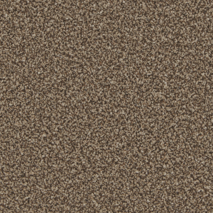 Mocha / 4m / Action