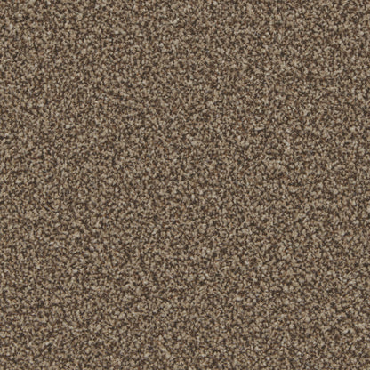Mocha / 4m / Action