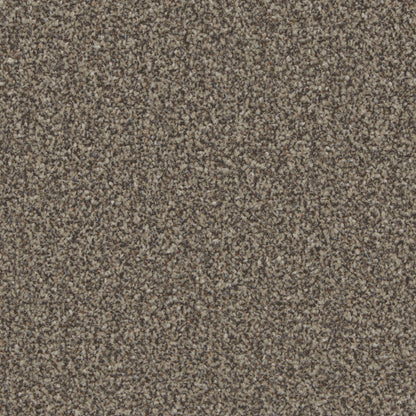 Malt / 4m / Action