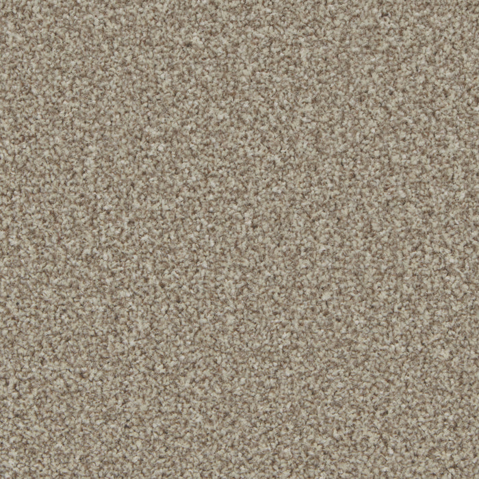 Pale Oak / 4m / Action