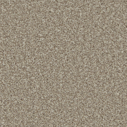 Pale Oak / 4m / Action