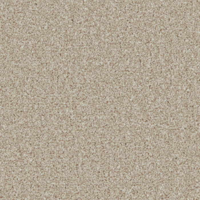 Pale Beige / 4m / Action