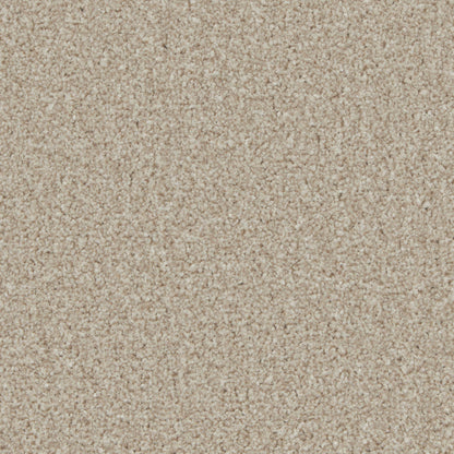Pale Beige / 4m / Action