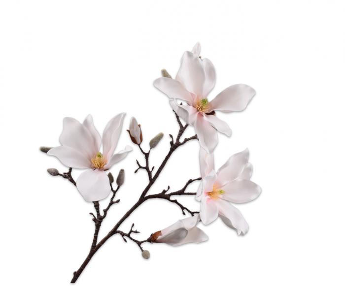 MAGNOLIA SPRAY CR/PNK 101CM