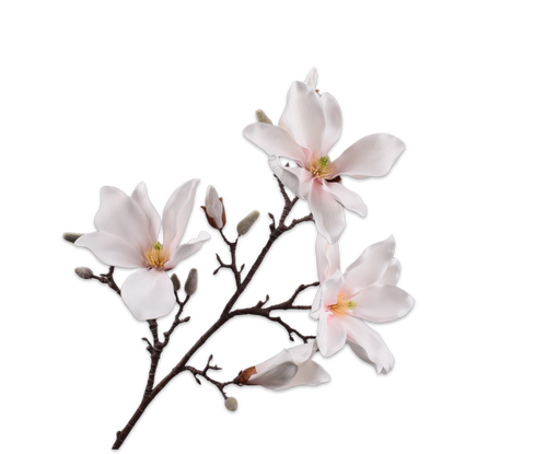MAGNOLIA SPRAY CR/PNK 101CM