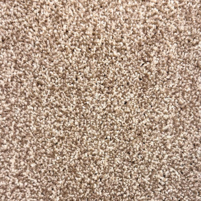 Barley