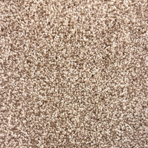 Barley