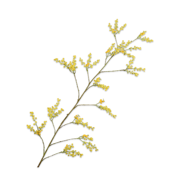 MIMOSA YELLOW BRANCH 165CM