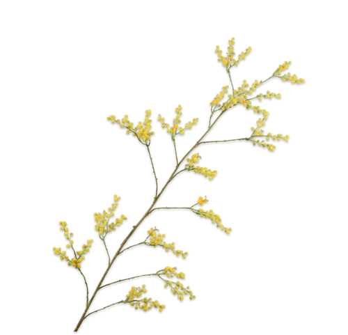 MIMOSA YELLOW BRANCH 165CM