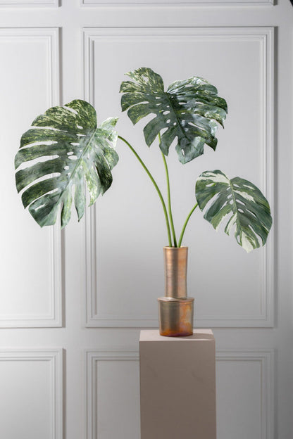 MONSTERA GREEN STEM GREEN/WHITE 100CM