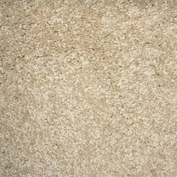 Balsa