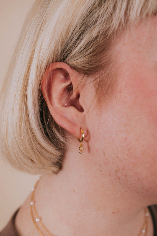 Imaginative Earrings - 14K Gold Plated