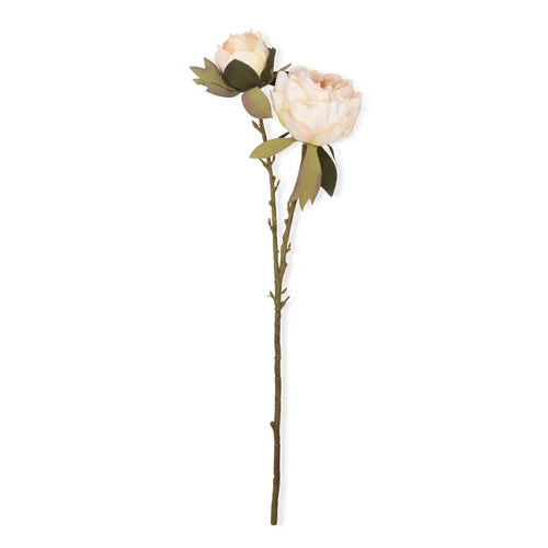 PEONY BLUSH STEM